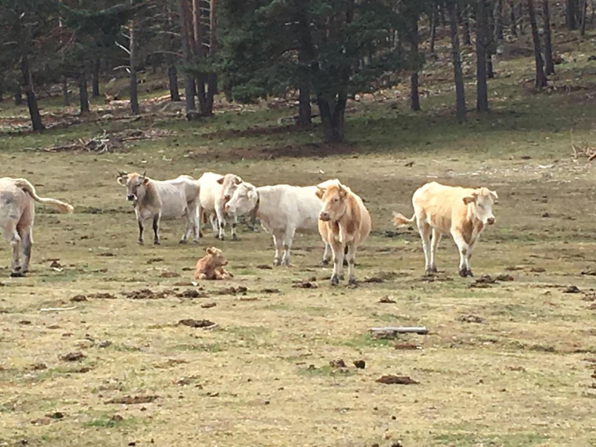 Casa Rural Senderismo Lumbreras Eksteriør billede